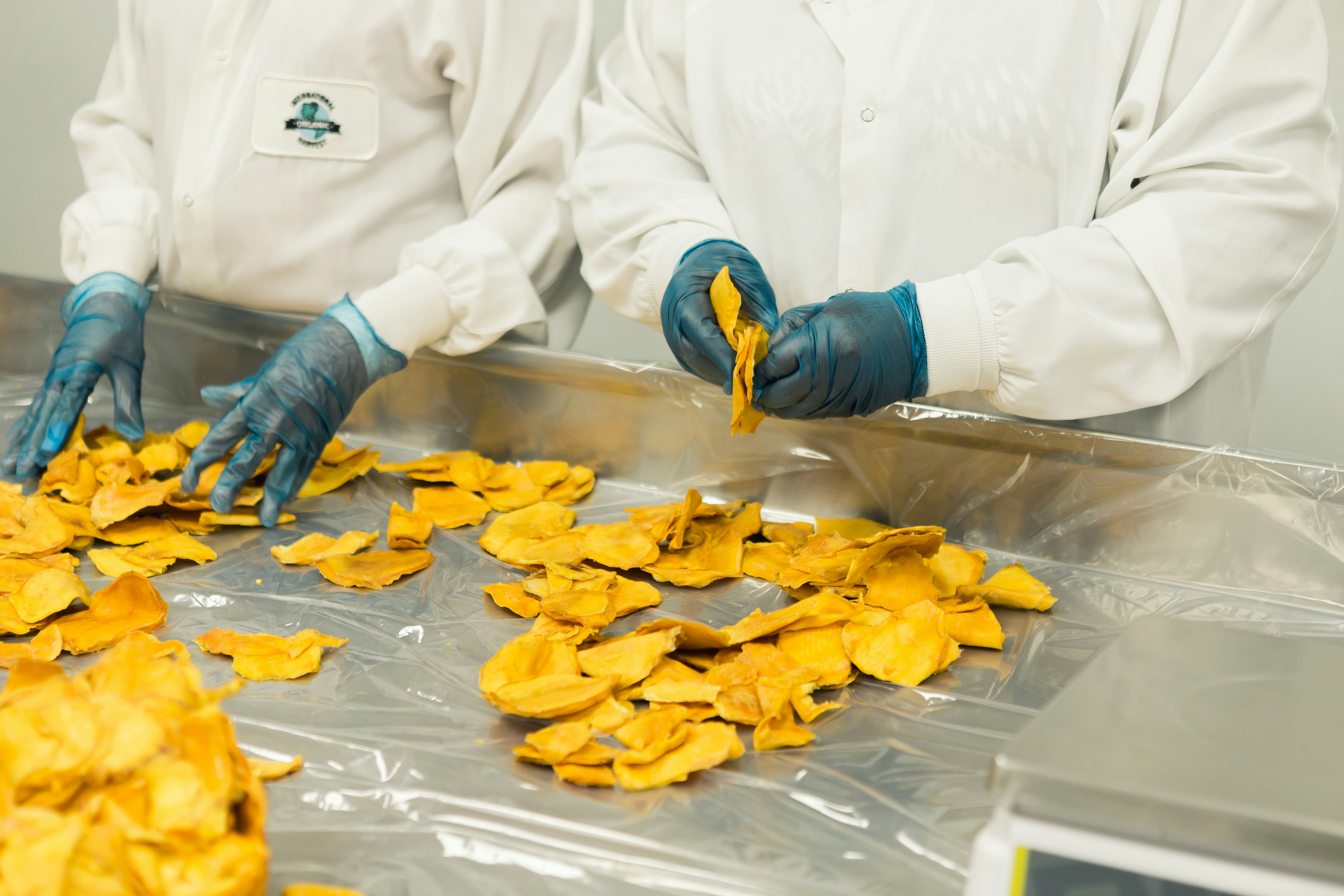 Food Processing Industry